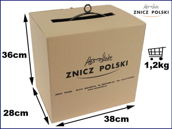 Znicz KOSZ KLON złoty