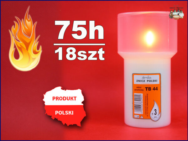 Wkład zalewany TB44