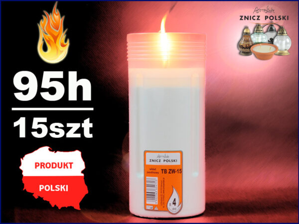 Wkład parafinowy zalewany TBZW15